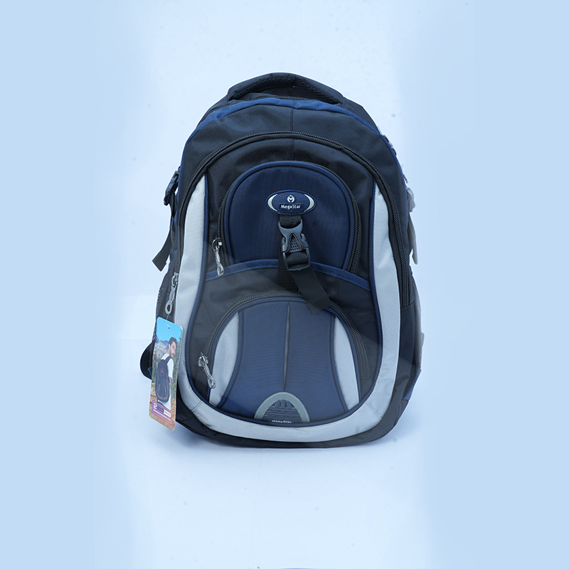 Meeraj Heavy & Small Bags Blue & Silver Colour